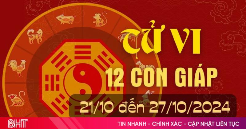 Tử vi tháng 10 âm 2022 của 2 con giáp Tuất, Hợi: Ổn định và biến động, lời khuyên chi tiết